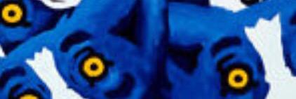 Angel Fussell Maxey banner