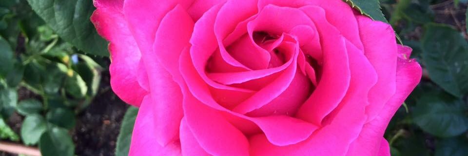 MariaJoseMant11's profile banner image