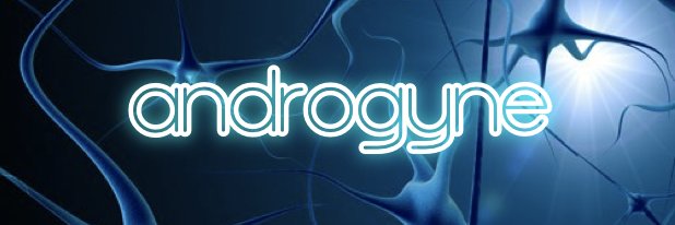 androgyne banner