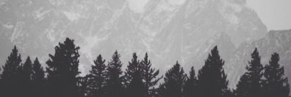 007Gilinsky's profile banner image