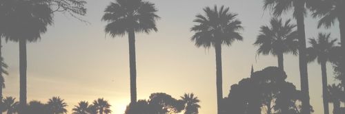 JanLester banner