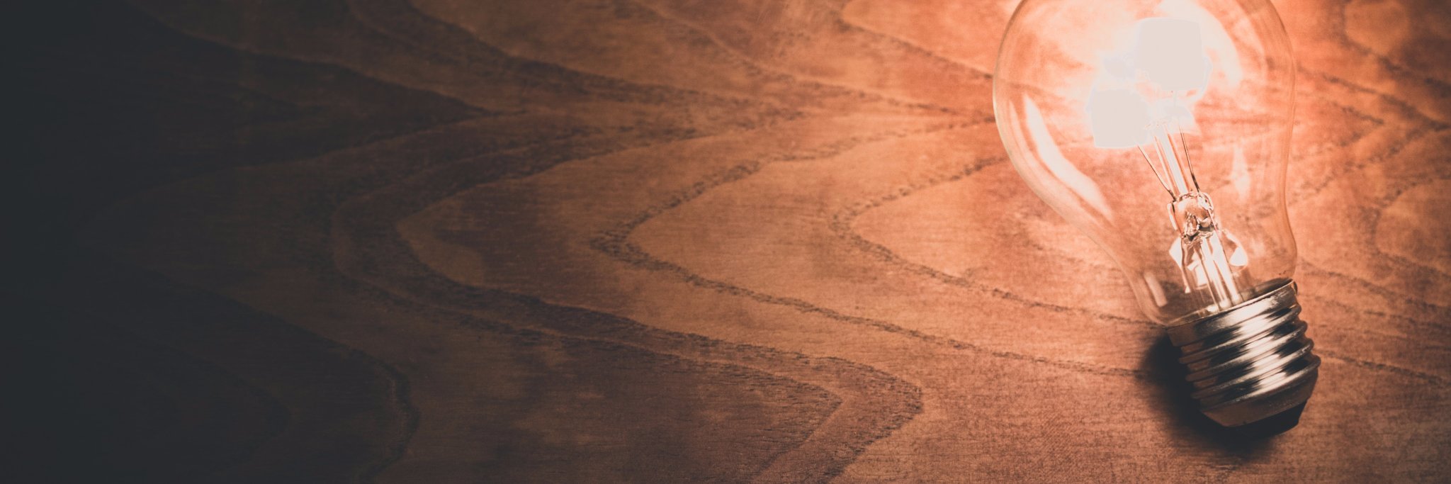 Temple University ESA banner