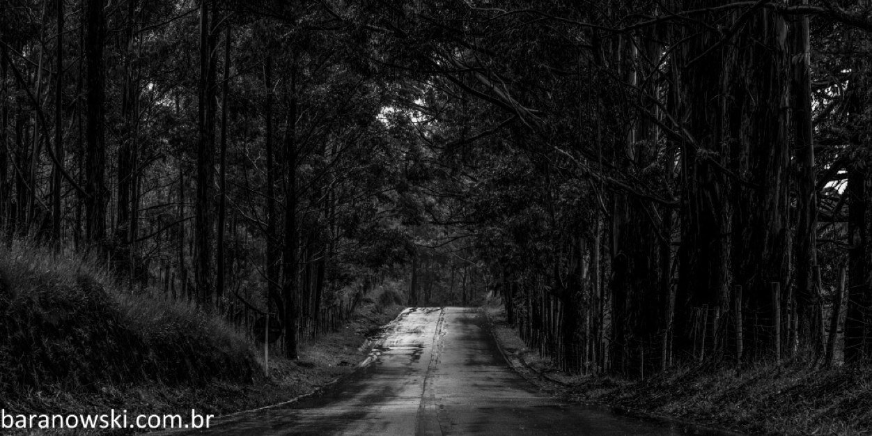 mateusbfoto's profile banner image