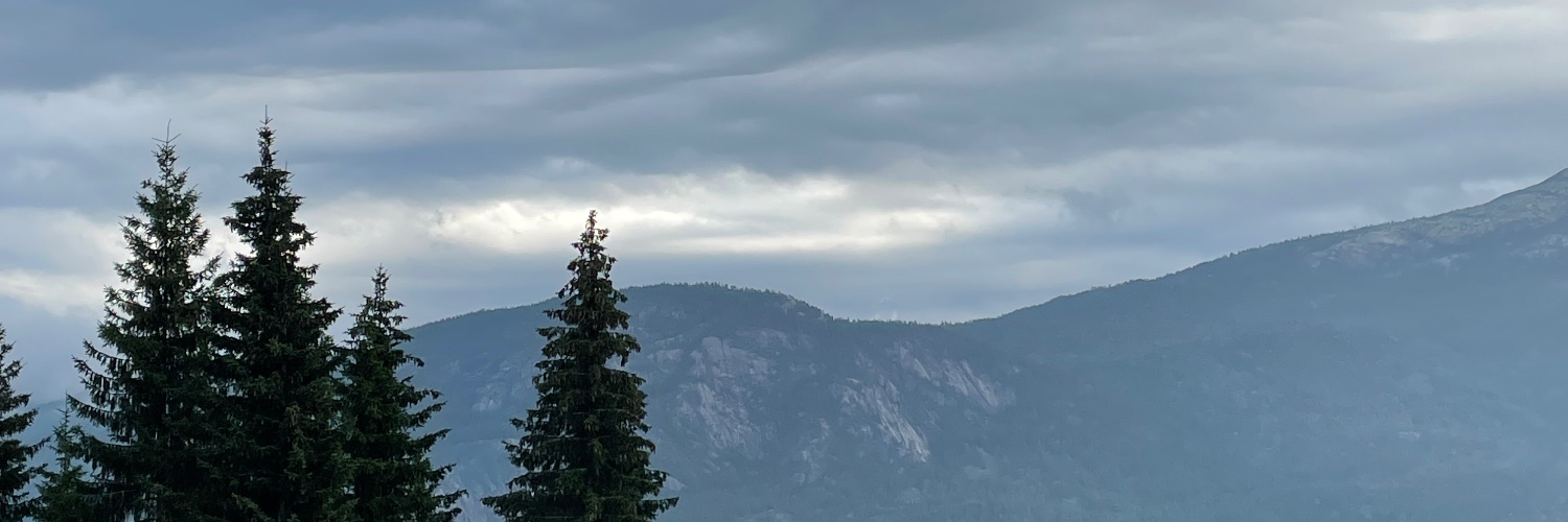 MariaGarde's profile banner image