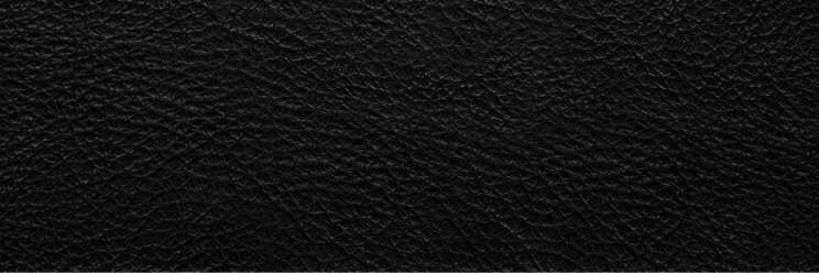 whoiselenoi's profile banner image