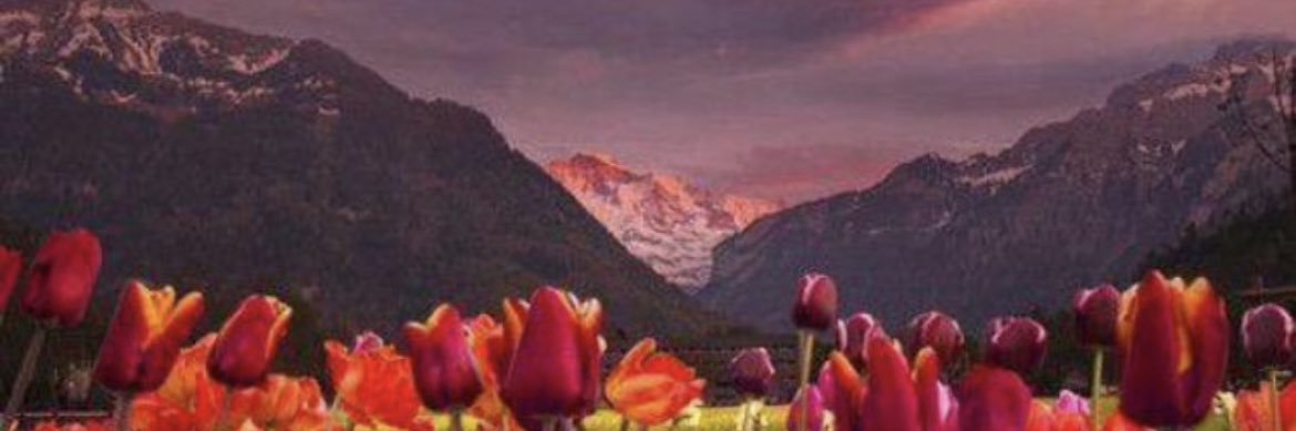 heididimas's profile banner image