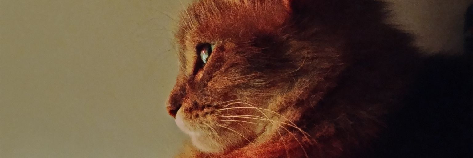 Nany_Defina's profile banner image