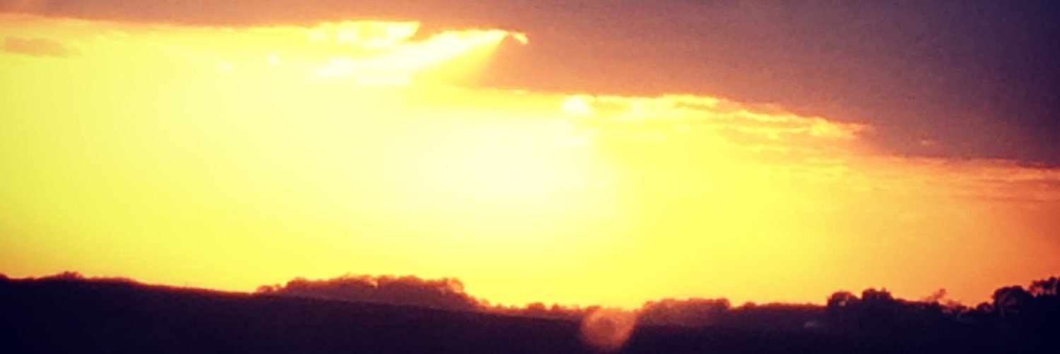 DevonSchmitz's profile banner image