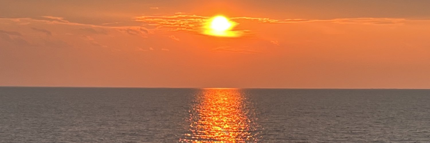 w_izzard's profile banner image