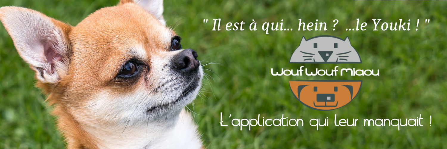 WWM_Projet's profile banner image