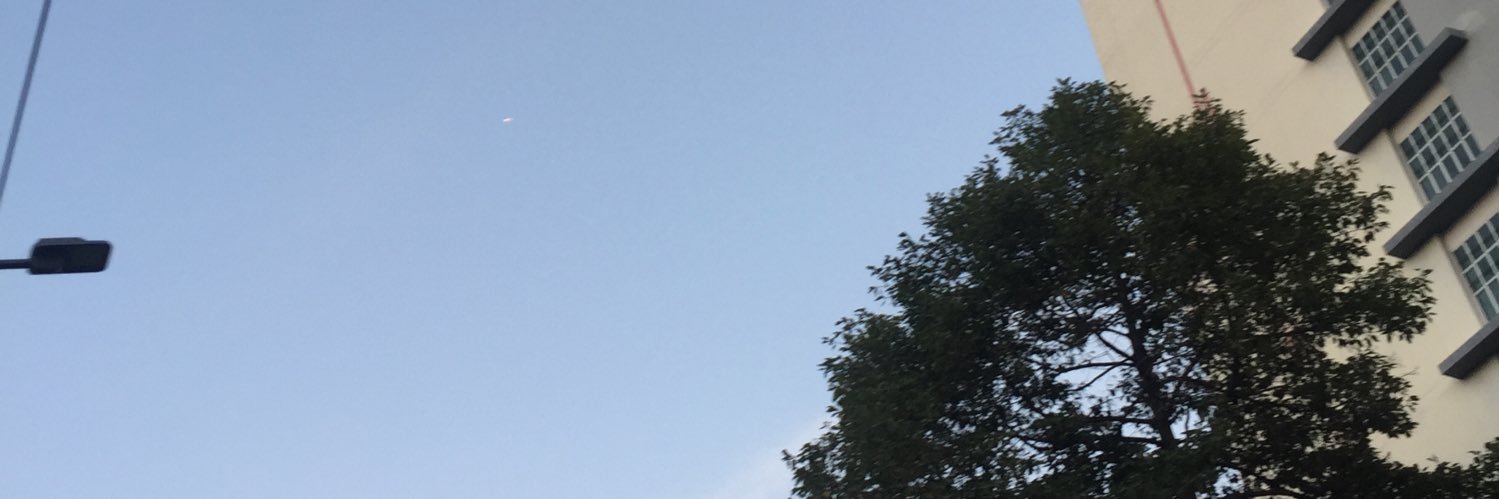 gray_xcx's profile banner image