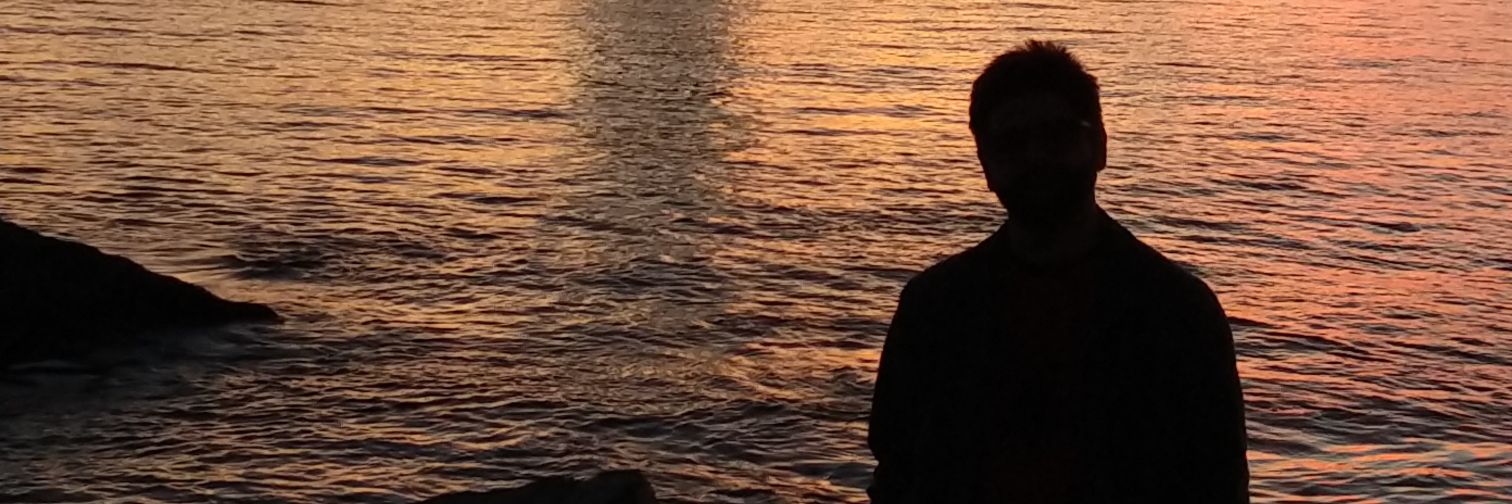 Hugo Rodrigues banner