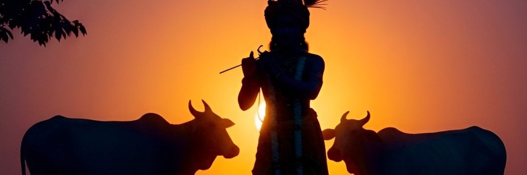 VikramKorde's profile banner image