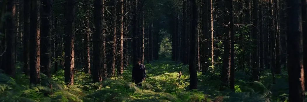 📚Lydia M. Sigwarth📚 banner