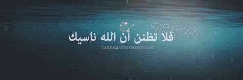 Bashayer banner