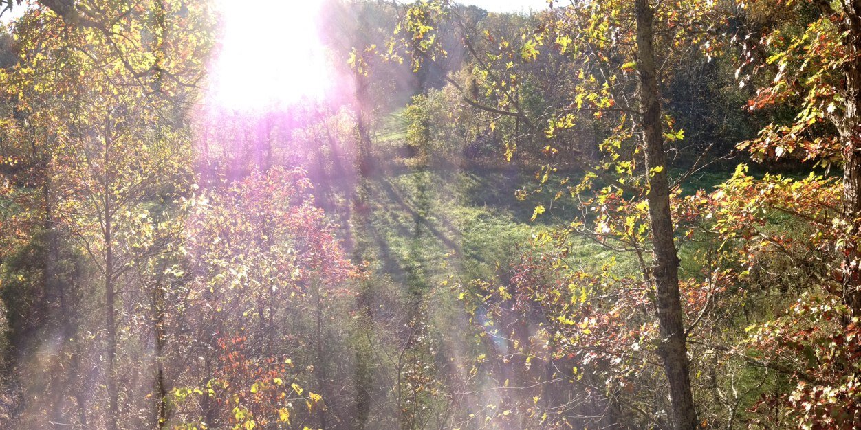 Andy_Mize's profile banner image