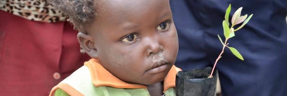 DRC Climate Change N banner