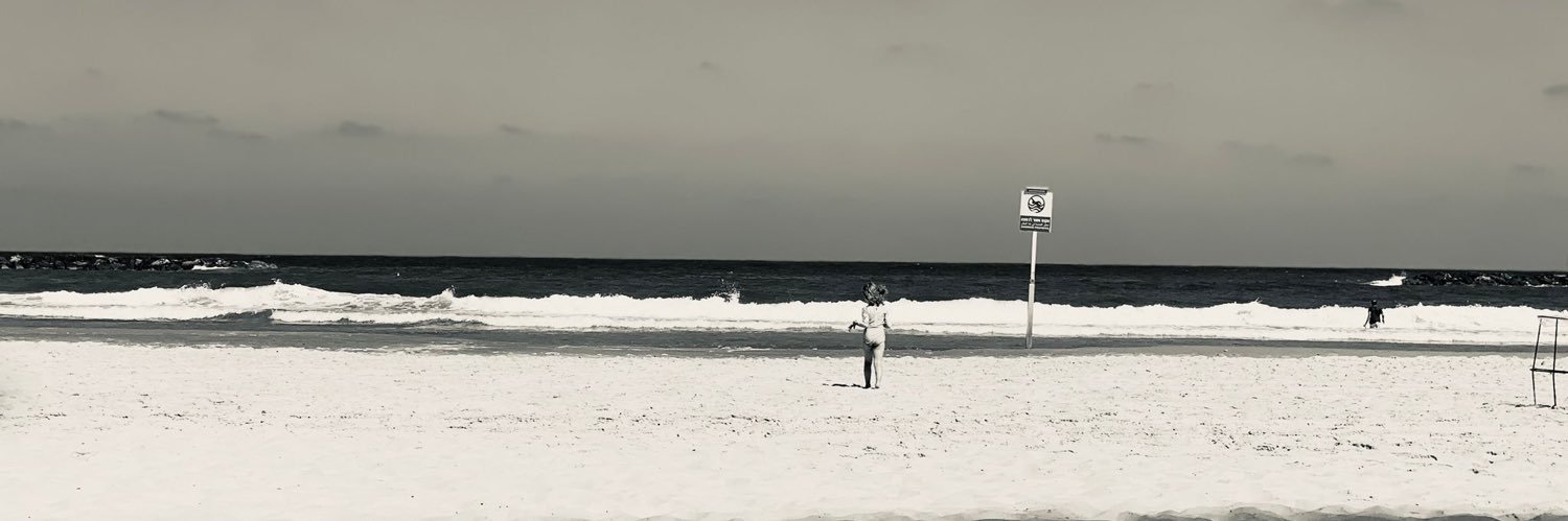 Oren Tamir's banner
