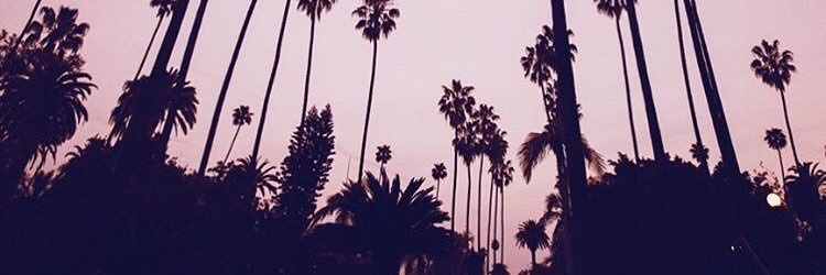 lou___off's profile banner image