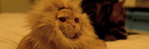 ThiefExe's profile banner image