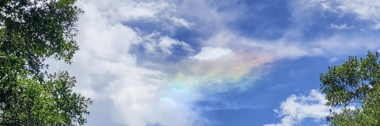RainesGS's profile banner image