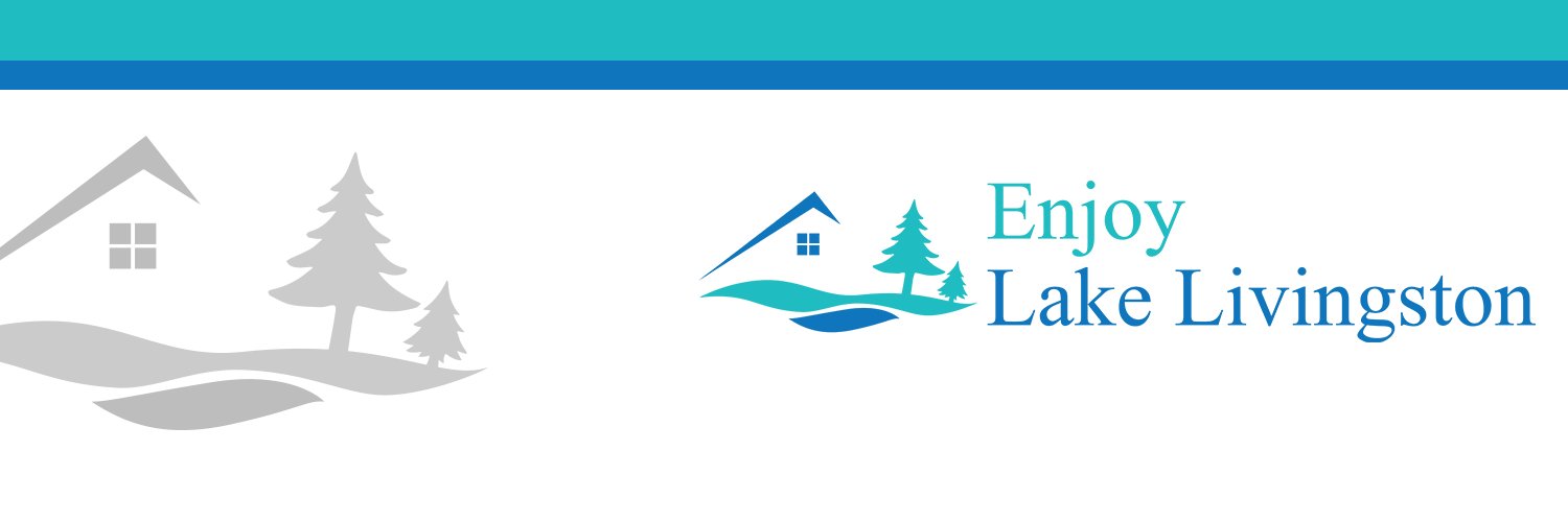 Dorothy Roberts banner
