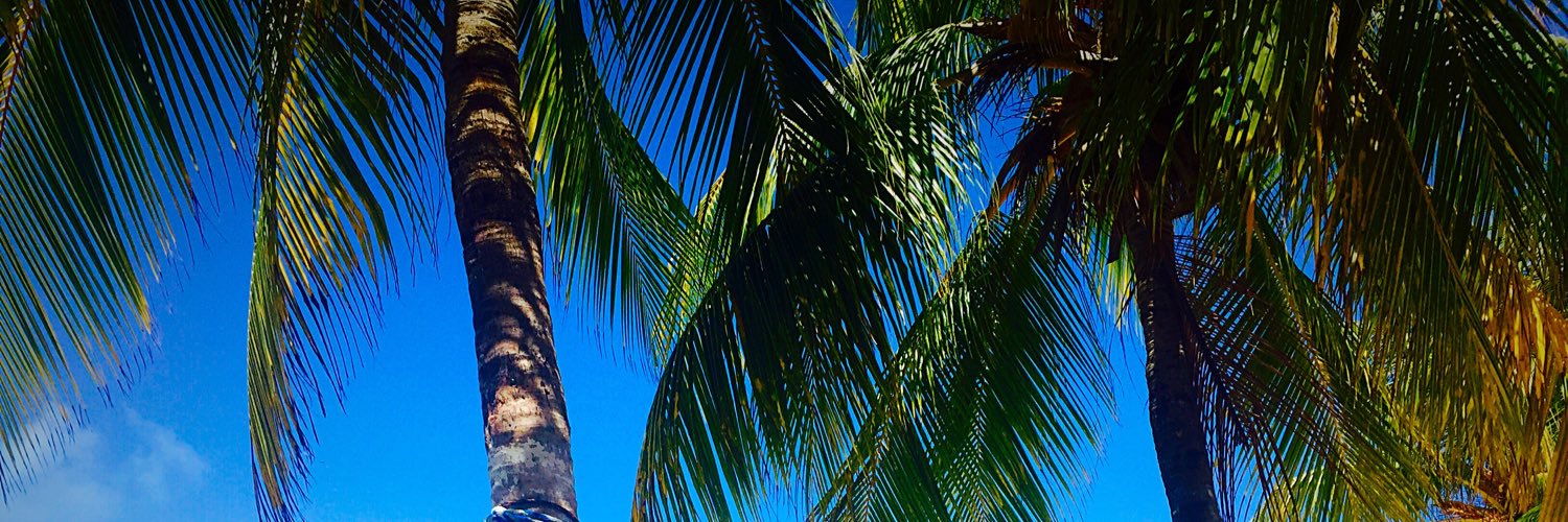 IvyFlawless's profile banner image