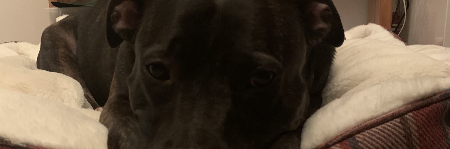 jobo0007's profile banner image