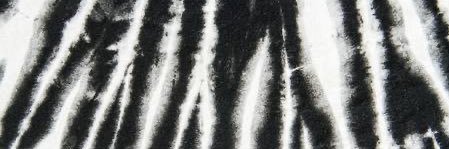 CloosRachel's profile banner image