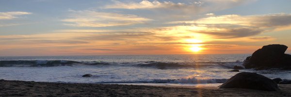 yung___matt Profile Banner