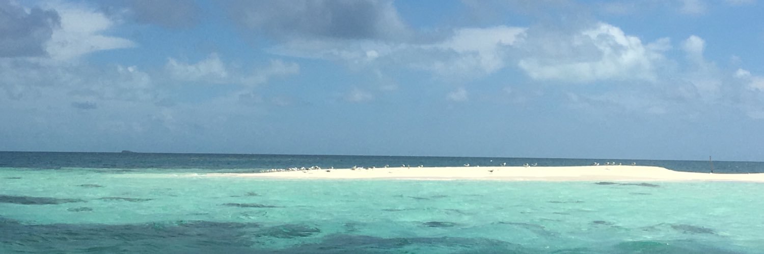 Mrs. Adams’ Math banner