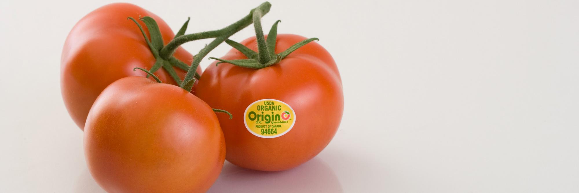 OriginO's profile banner image