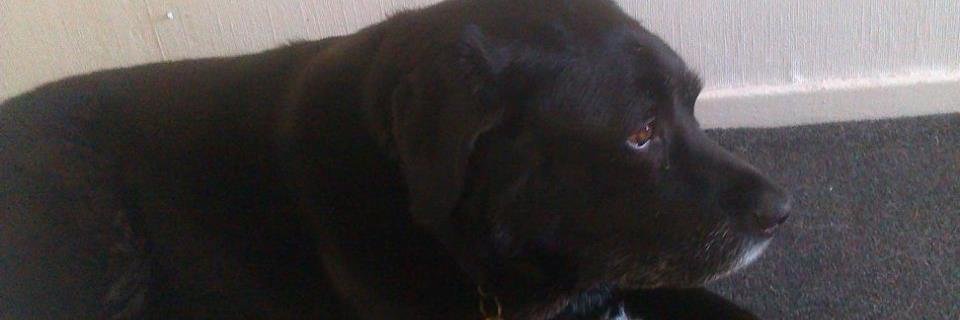 andycorky's profile banner image