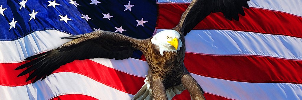deplorablecomms's profile banner image