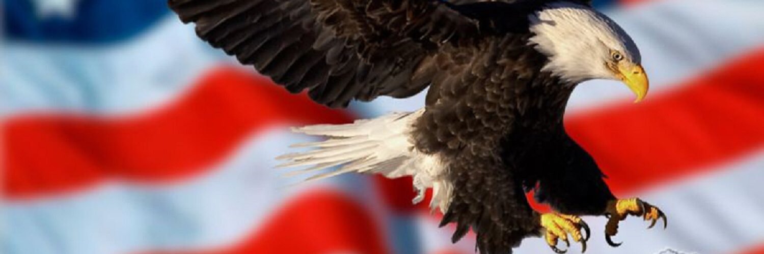 Cullboss's profile banner image