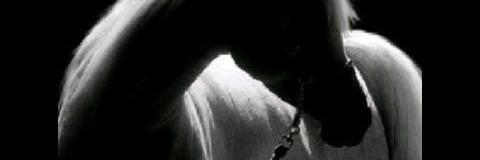 ALhmsaa's profile banner image