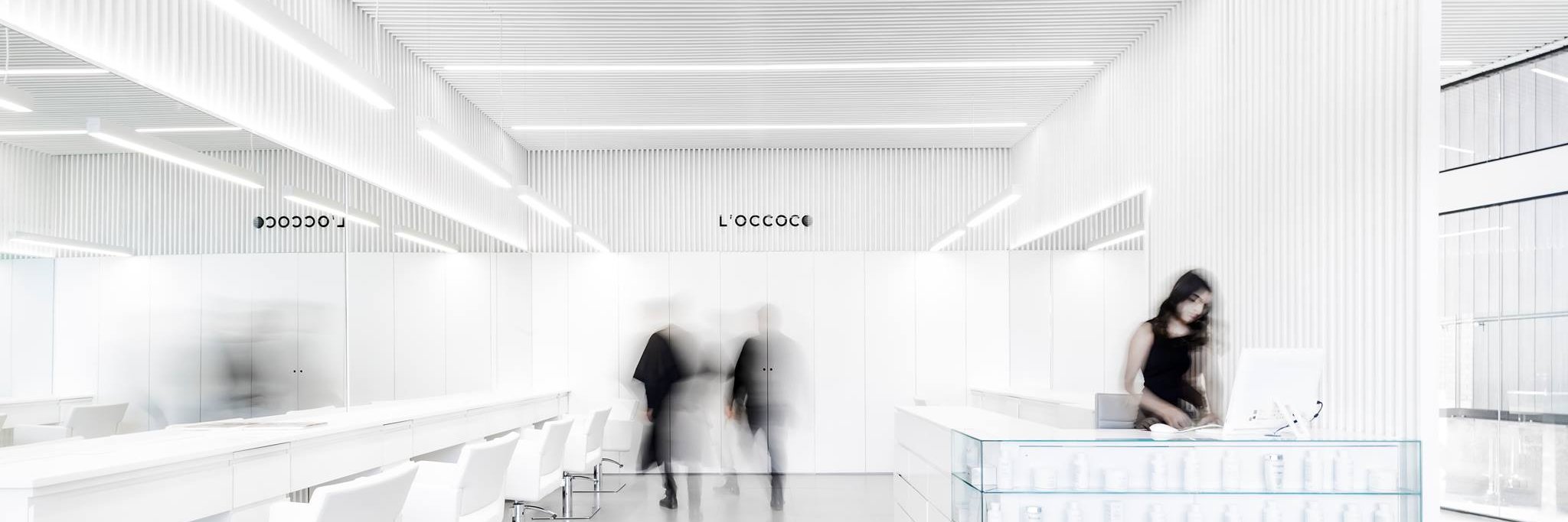 loccocoinstitut's profile banner image