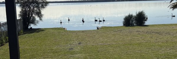 _shanmoho Profile Banner