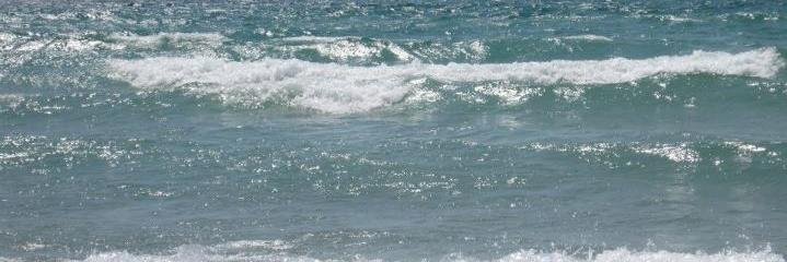 GrovesCollegeCareer banner