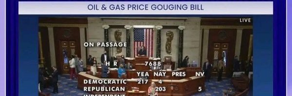 Kathi, spay/neuter your pets🐈‍⬛🐈🐕 banner