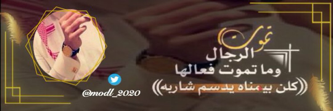 modl_2020's profile banner image
