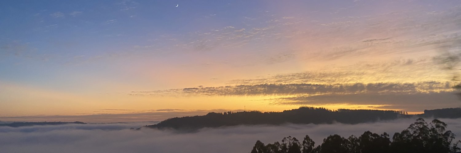 lunardoni's profile banner image