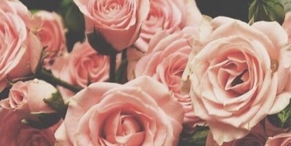 Amaa_p's profile banner image