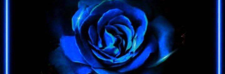 Daun Yael banner