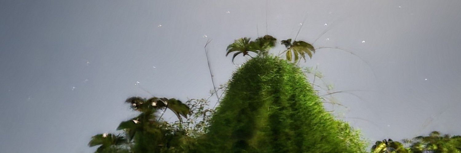 CARLOS45610's profile banner image