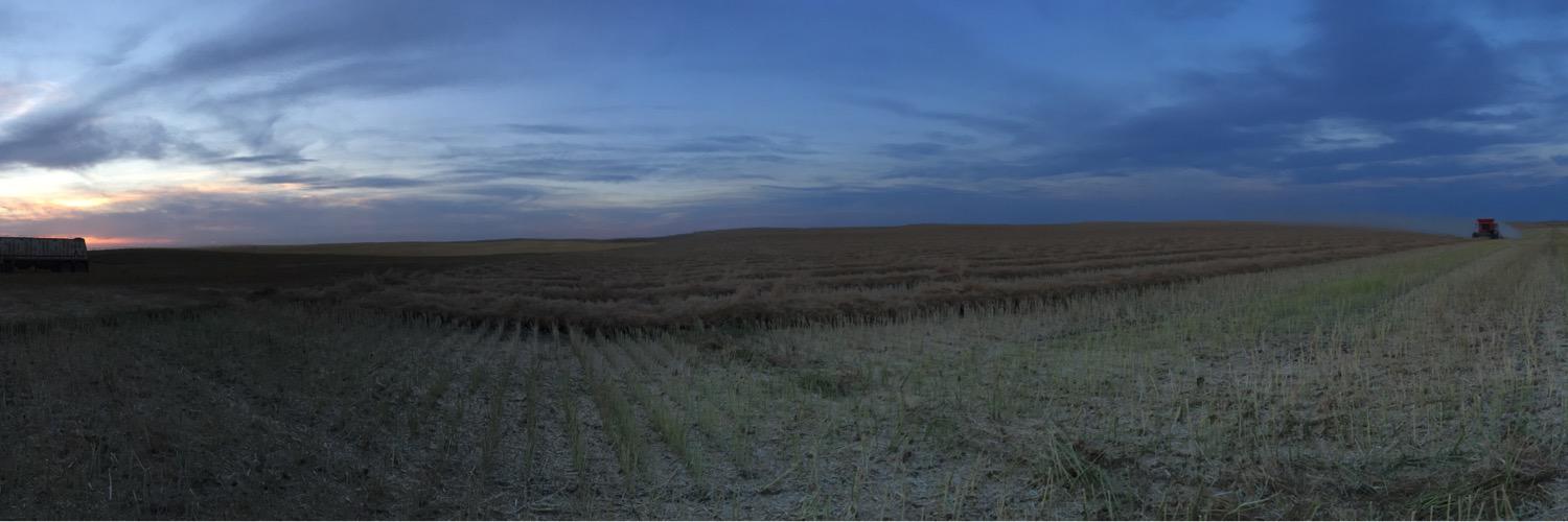alberta429's profile banner image