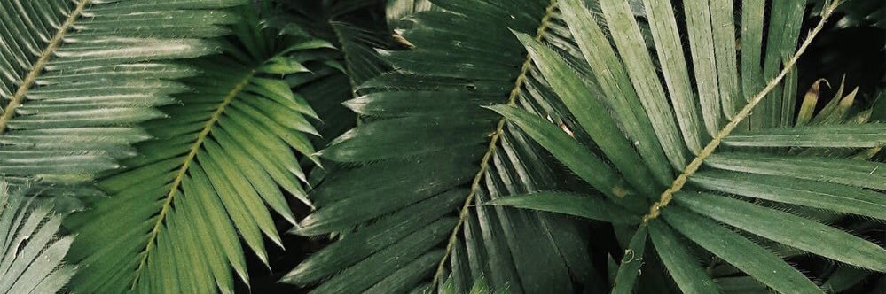 gemaria09's profile banner image