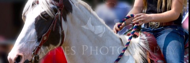 lnessy07's profile banner image