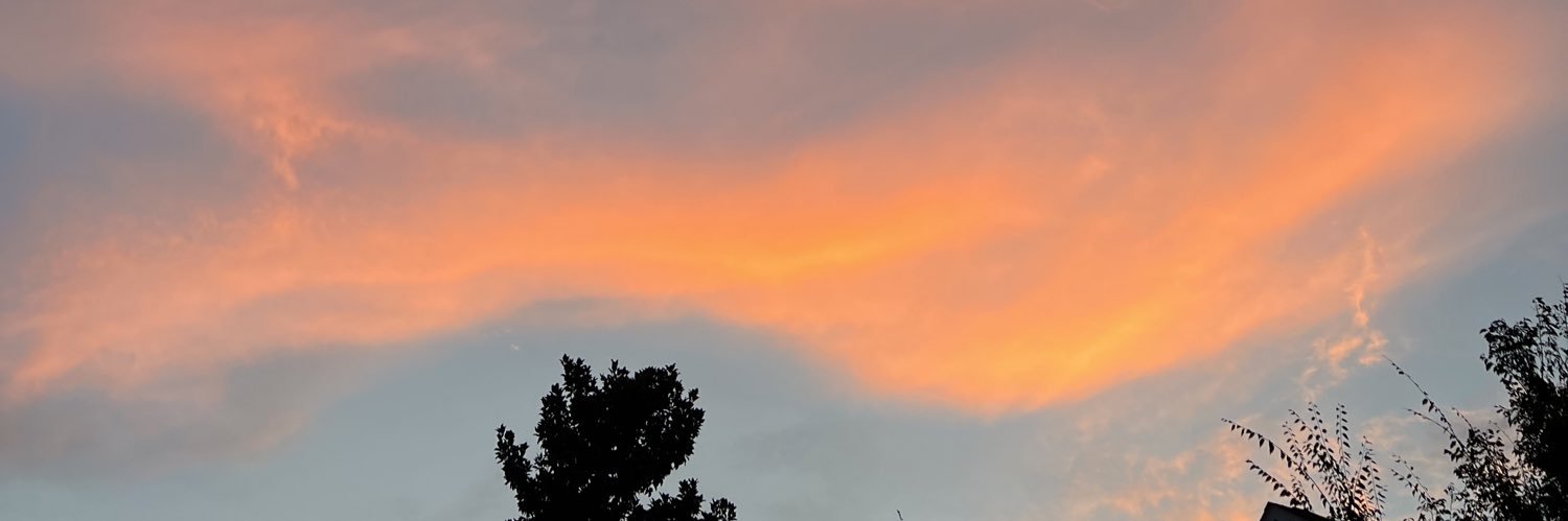 papiiky's profile banner image