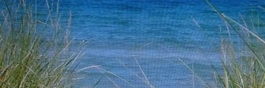 Jennifer Essad banner